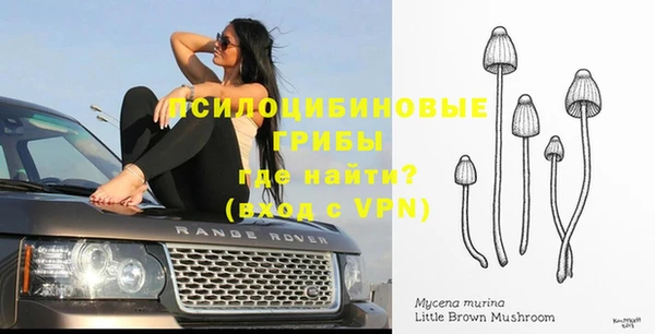 дмт Михайловск