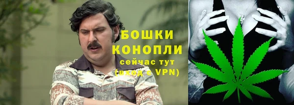 дмт Михайловск