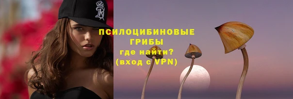 дмт Михайловск