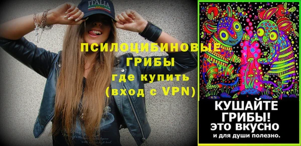 дмт Михайловск
